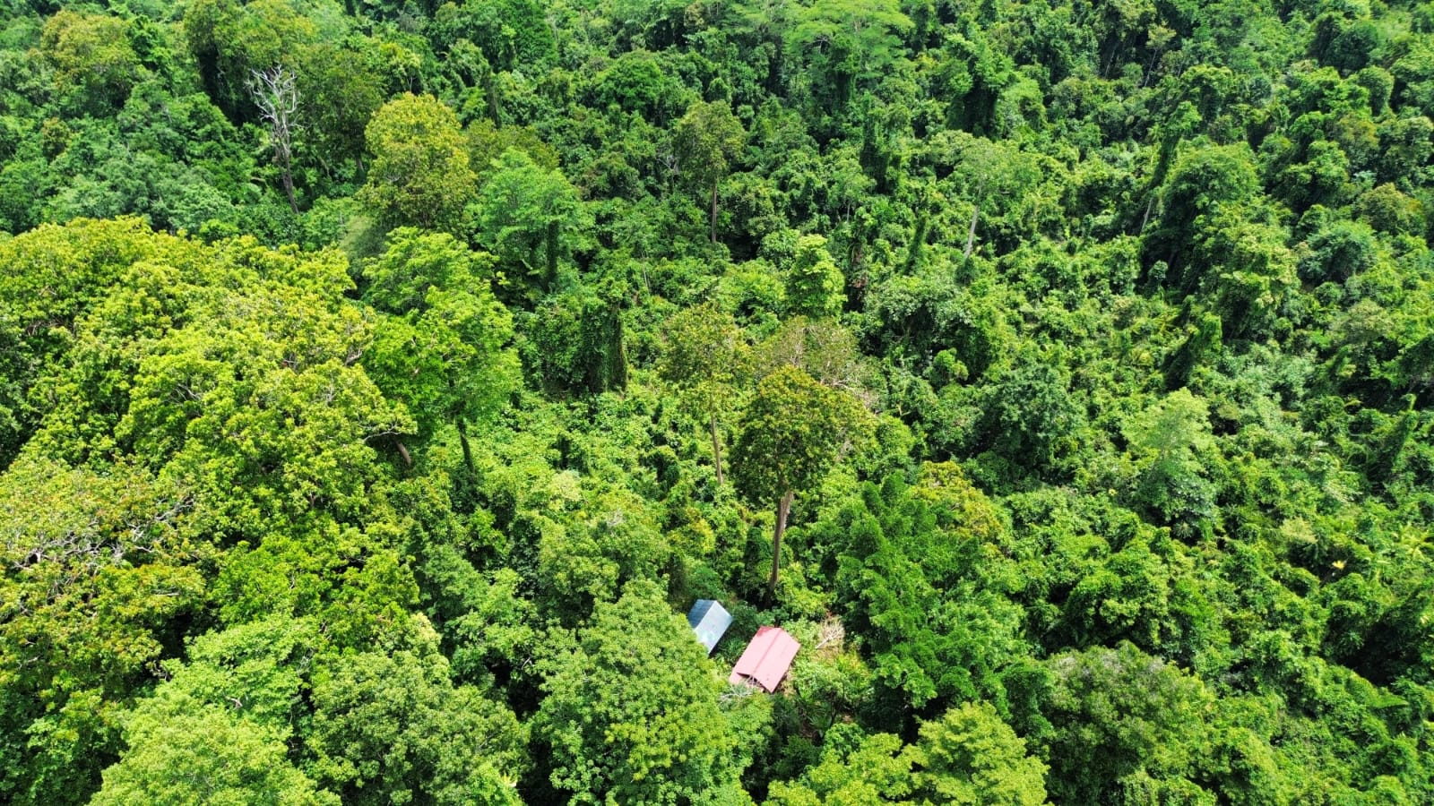 Morite Ecolodge overhead view
