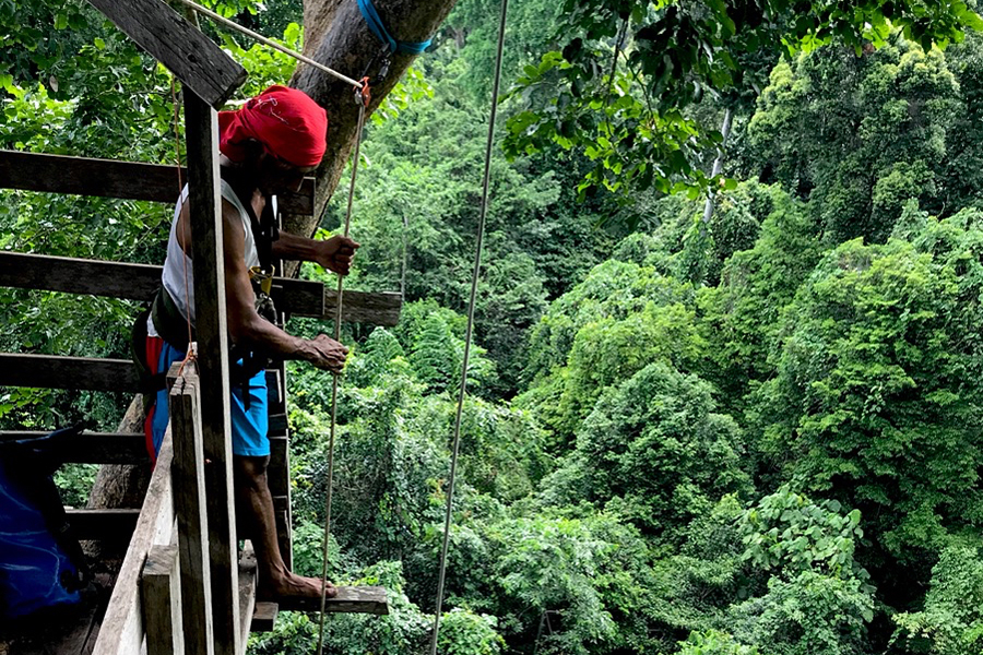 Canopy Platform Trips