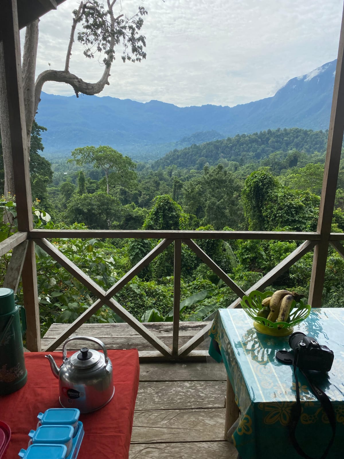 View from Morite Ecolodge
